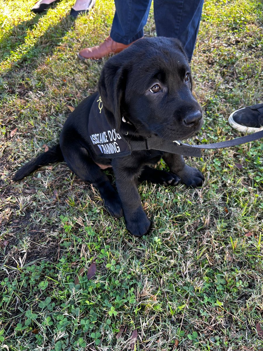 Robert Irvine Foundation tweet media