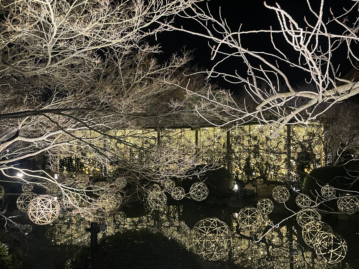 oncha9494's tweet photo. 東寺月回廊へ🌙
梅が少し咲き始めてきてたので
それもまたよかったな
#東寺月回廊 https://t.co/CK3JHkirbg