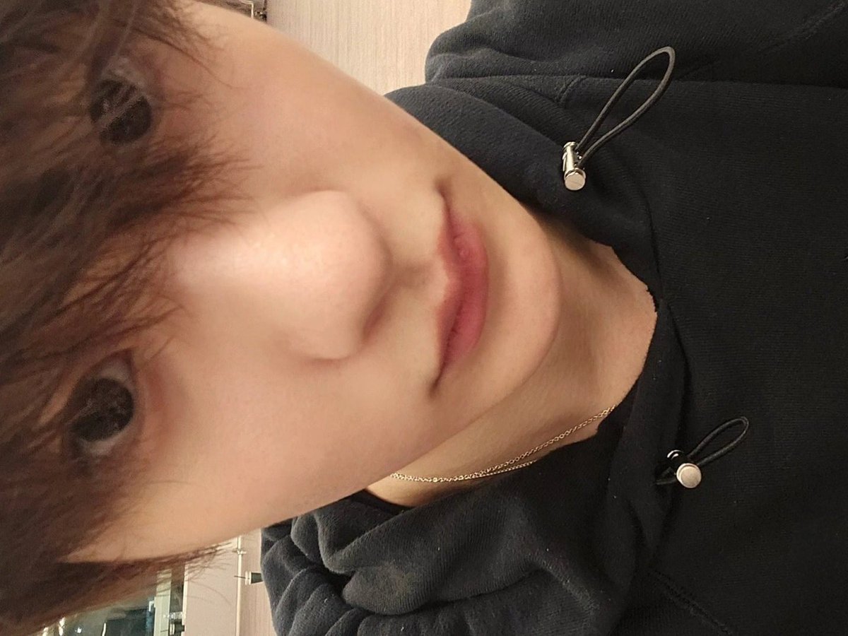 🦕 (@daintoiny) on Twitter photo 