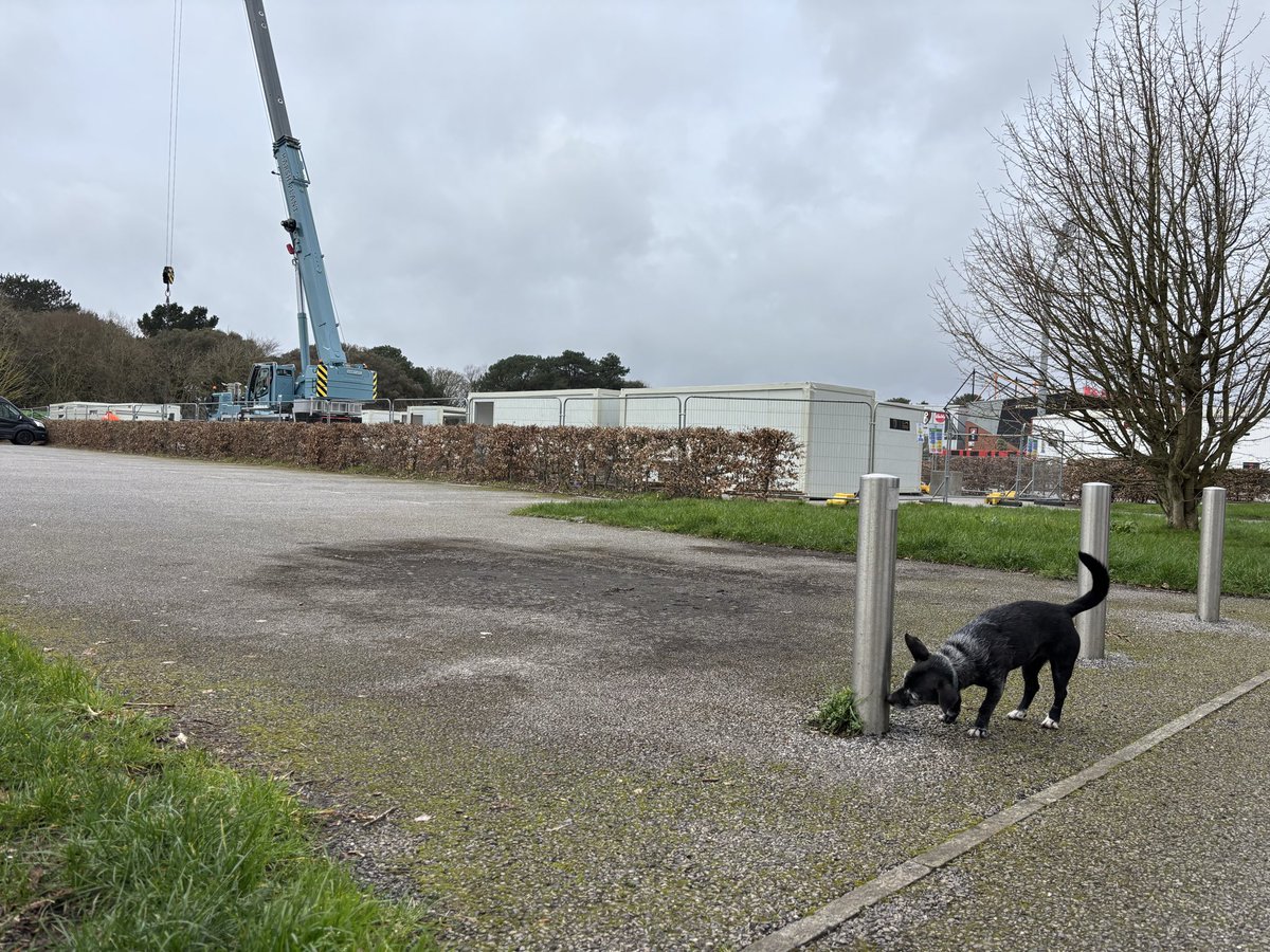 Ben Smith tweet media