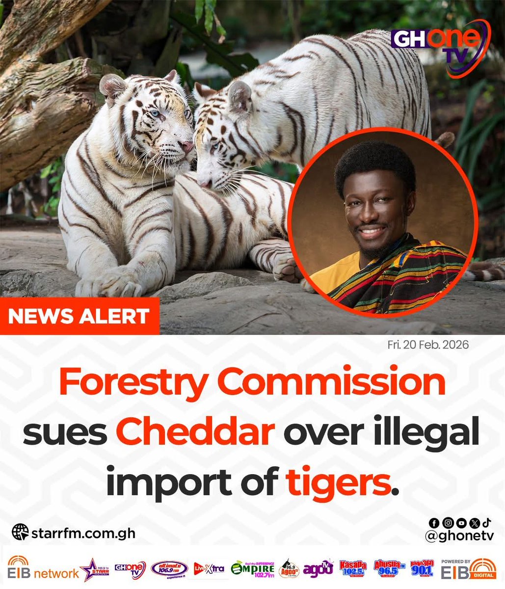 deejayaggreyGh's tweet photo. Forestry Commission sues Cheddar over illegal import of tigers...

#GHOneNews https://t.co/eO1CH4YhSk
