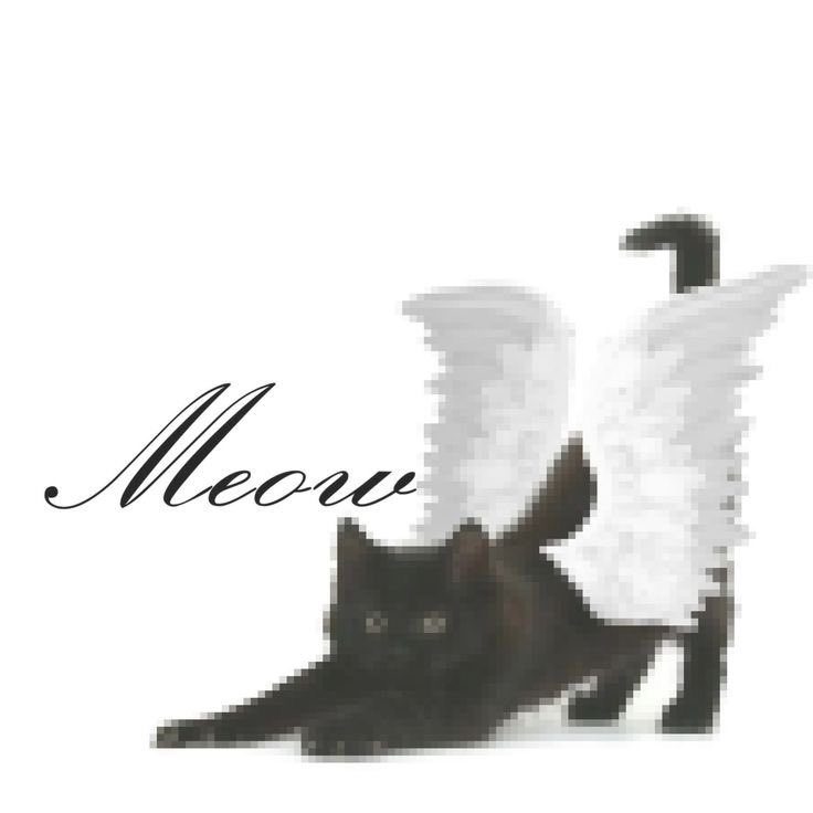 𓈒 ࣪ ˖ (@heartzjpg) on Twitter photo 