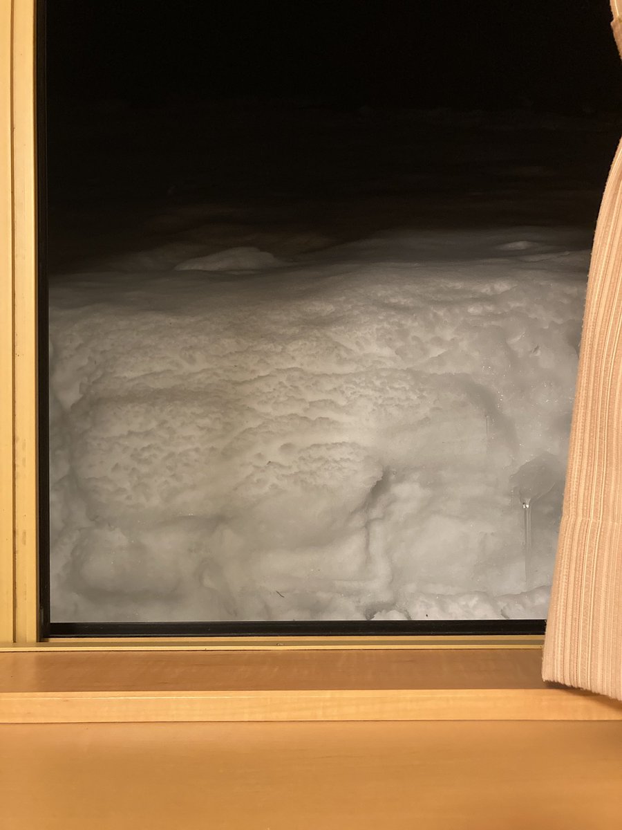 今日は公演のため秋田の大館に来ております。例年よりは雪が少ないと思いますが窓の外はご覧の通りです。明日は大館市民文化会館で、明後日は盛岡市の岩手県民会館でドラゴンクエストⅥの世界をお送りします。どちらも午後2時開演です。