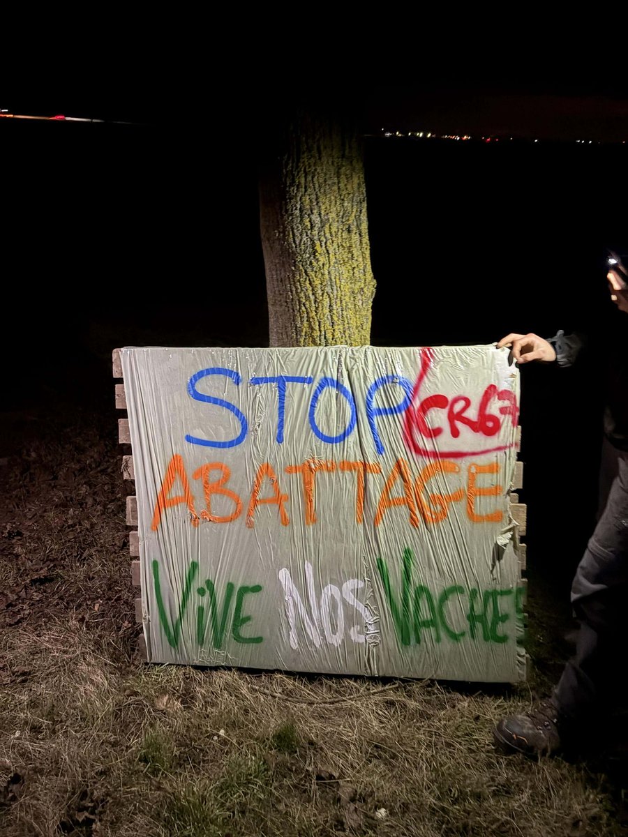 coordinationrur's tweet image. 🟡 #DNC : quand certains disent “rien ne bouge”, la CR agit

On l’entend partout : « ça ne bouge pas », « il ne se passe rien ».
Sur le terrain, la réalité est toute autre. Face aux protocoles d’abattage imposés dans le cadre de la DNC, les agriculteurs refusent le silence et