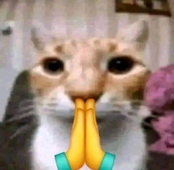 All I want in life is In the dark relicensed pls. I won't stop bothering publishers about it till it happens !!!!