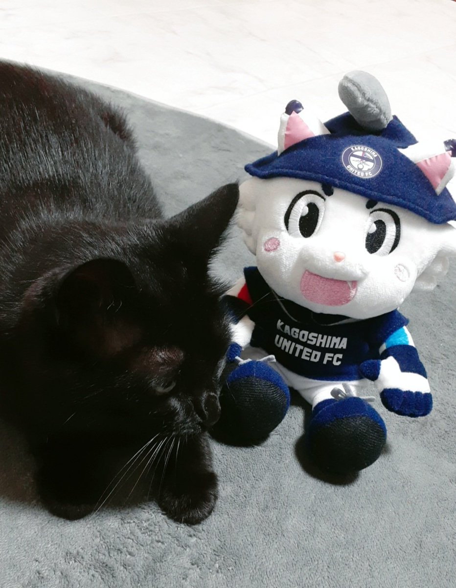 ゆき&sio tweet media