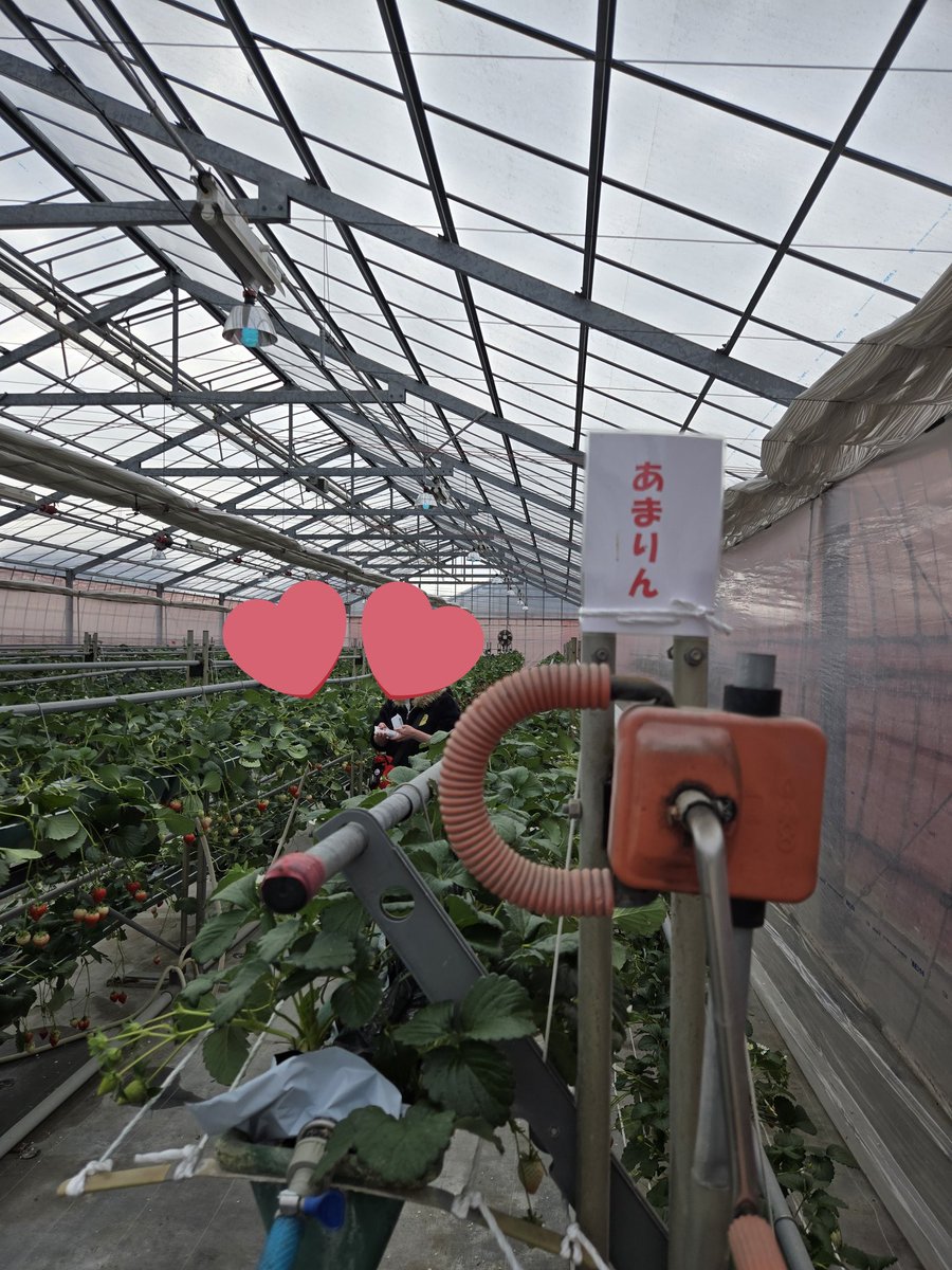 たかちゃん@発狂埼玉四池 (@c70310) / Posts / X