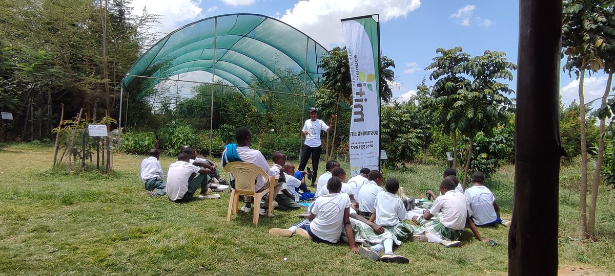 Miti Alliance tweet media