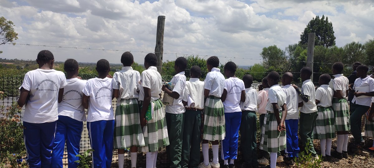 Miti Alliance tweet media