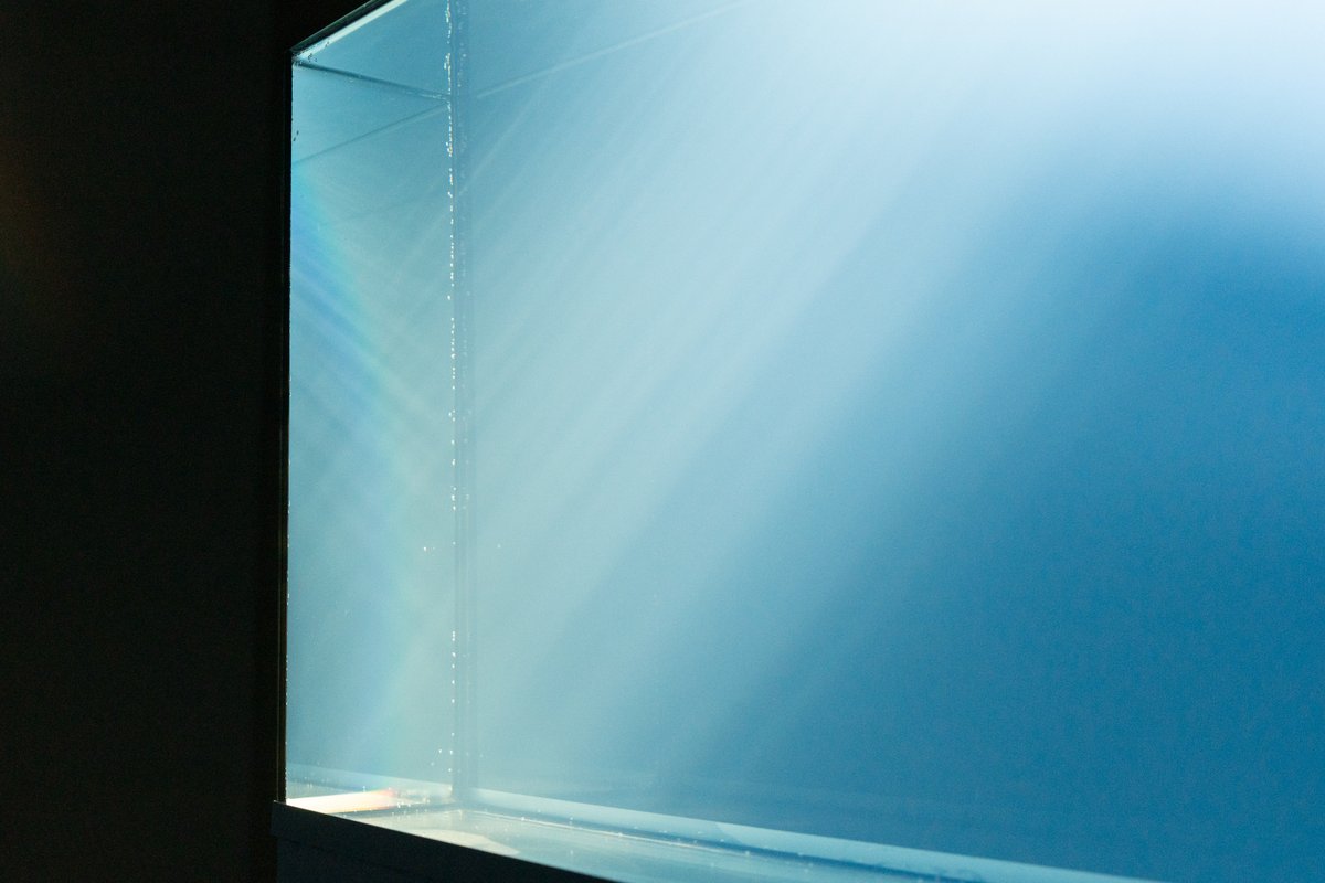 Civic Creative Base Tokyo_CCBT tweet media