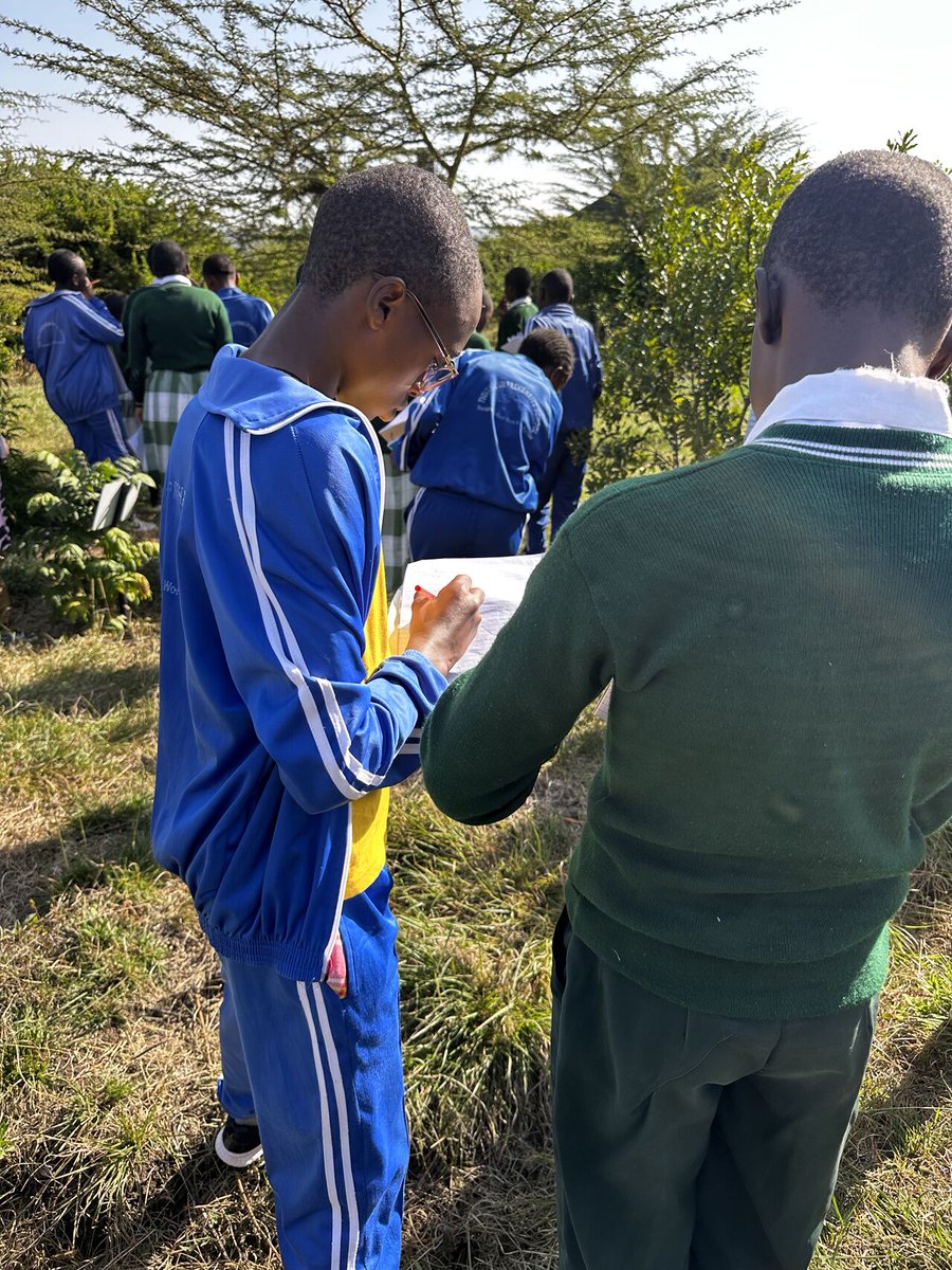 Miti Alliance tweet media