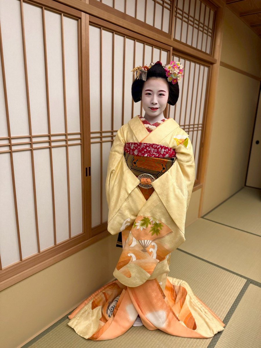 舞妓はん芸者さん最新情報 (@maikogeisha_jp) / Posts / X