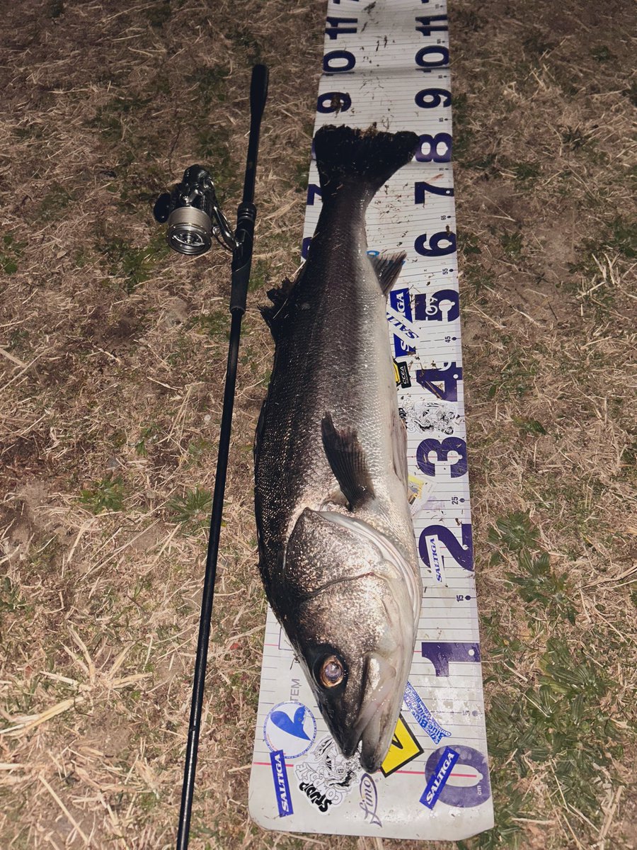 高一チャリアングラー🎣🚲🐟 tweet media