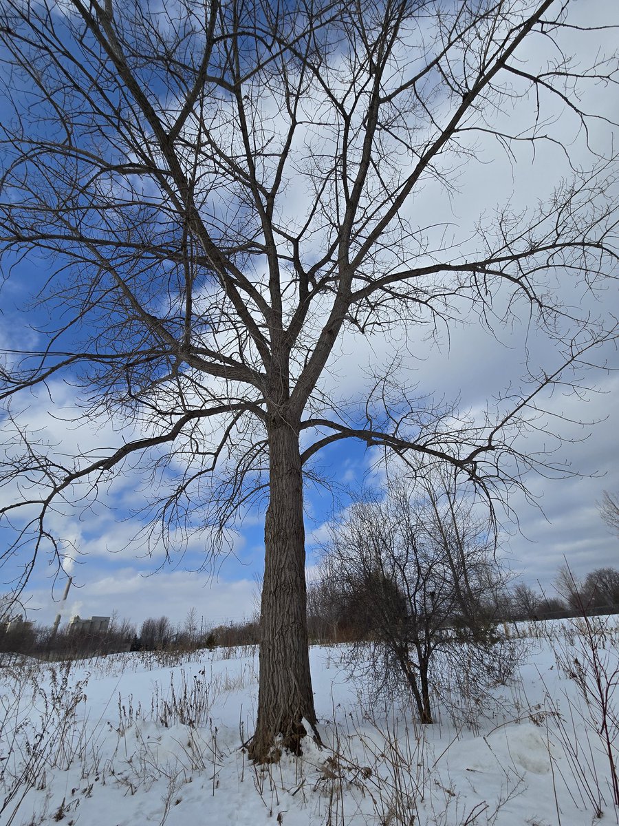 Ann Sojka🇨🇦 tweet media