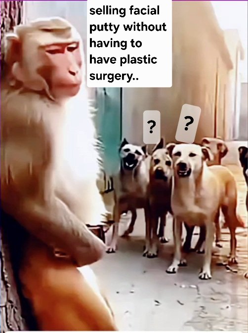 EN124 (bo'oel) tweet media