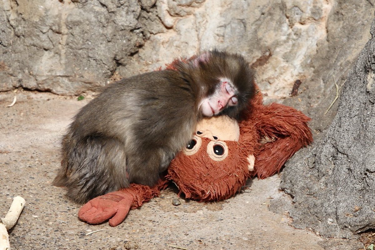 หน้าน้องมีแต่แผล ใจเจ็บ 😭