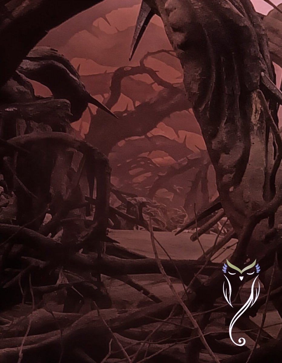 Morai the Messenger 🦉 - AHSOKA S2 Updates tweet media