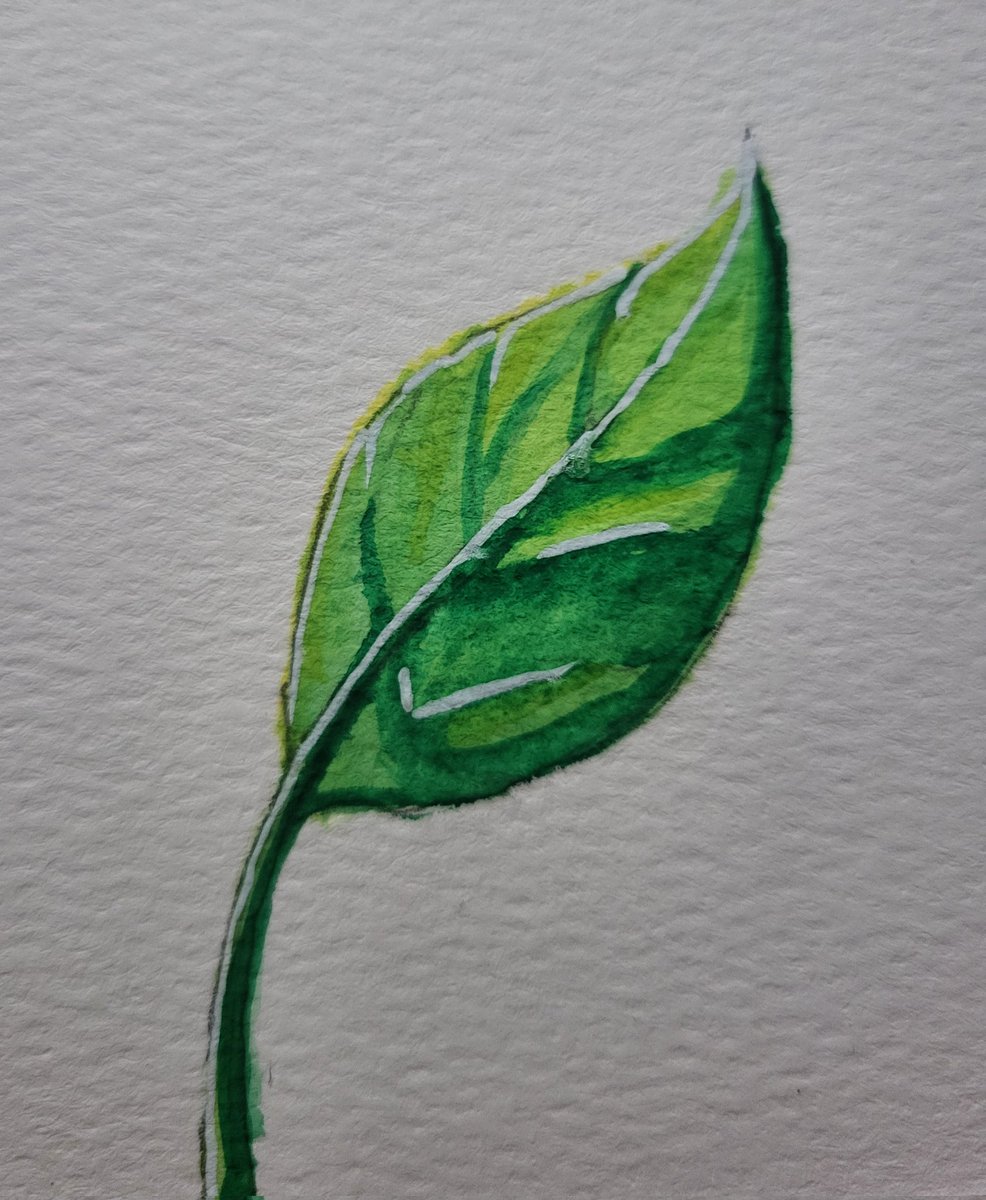 🍏leo🍏⁷⊙⊝⊜ (LOOKING FOR WORK) tweet media