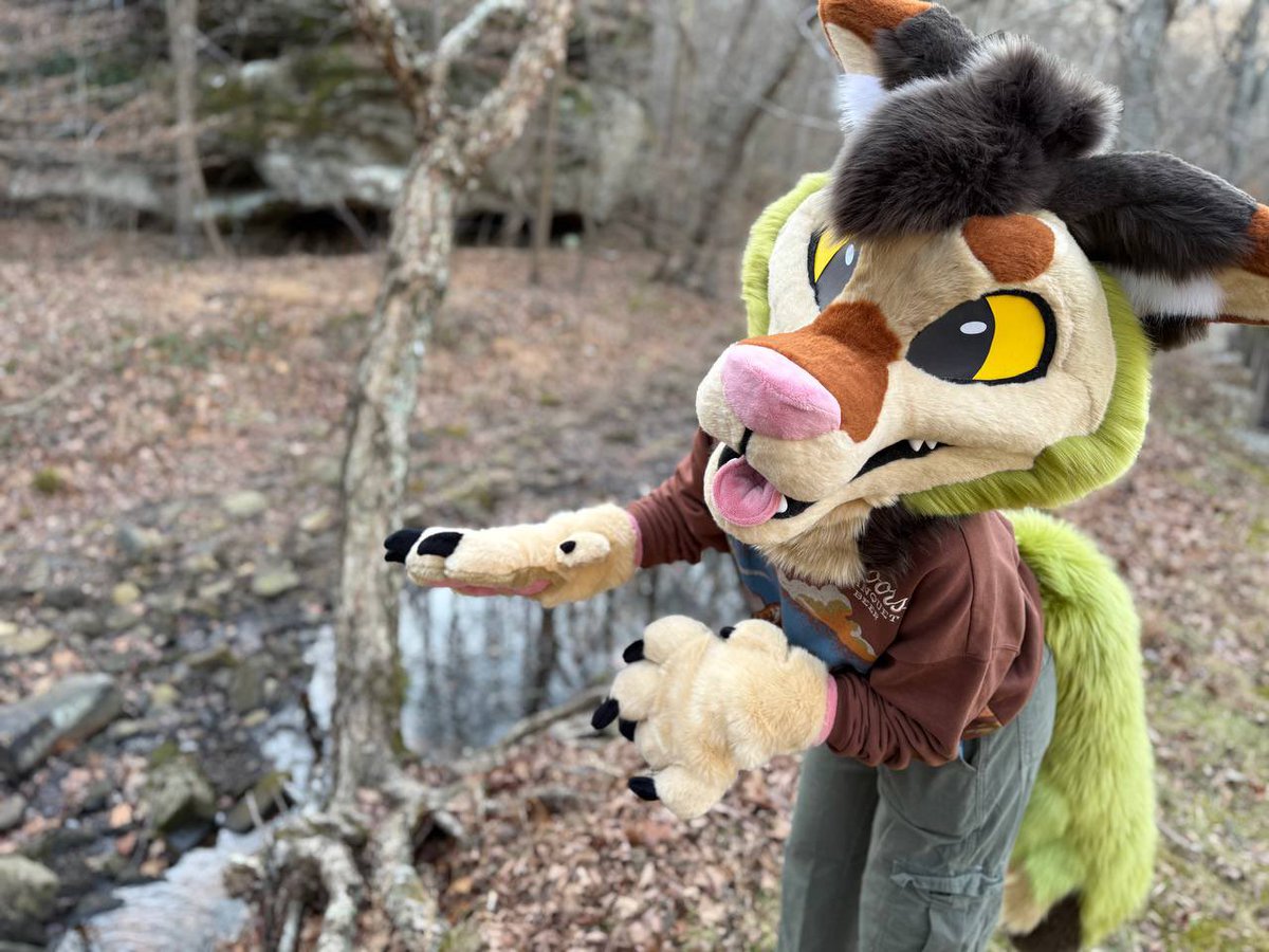 🌵Coyote Arcade🌵 tweet media