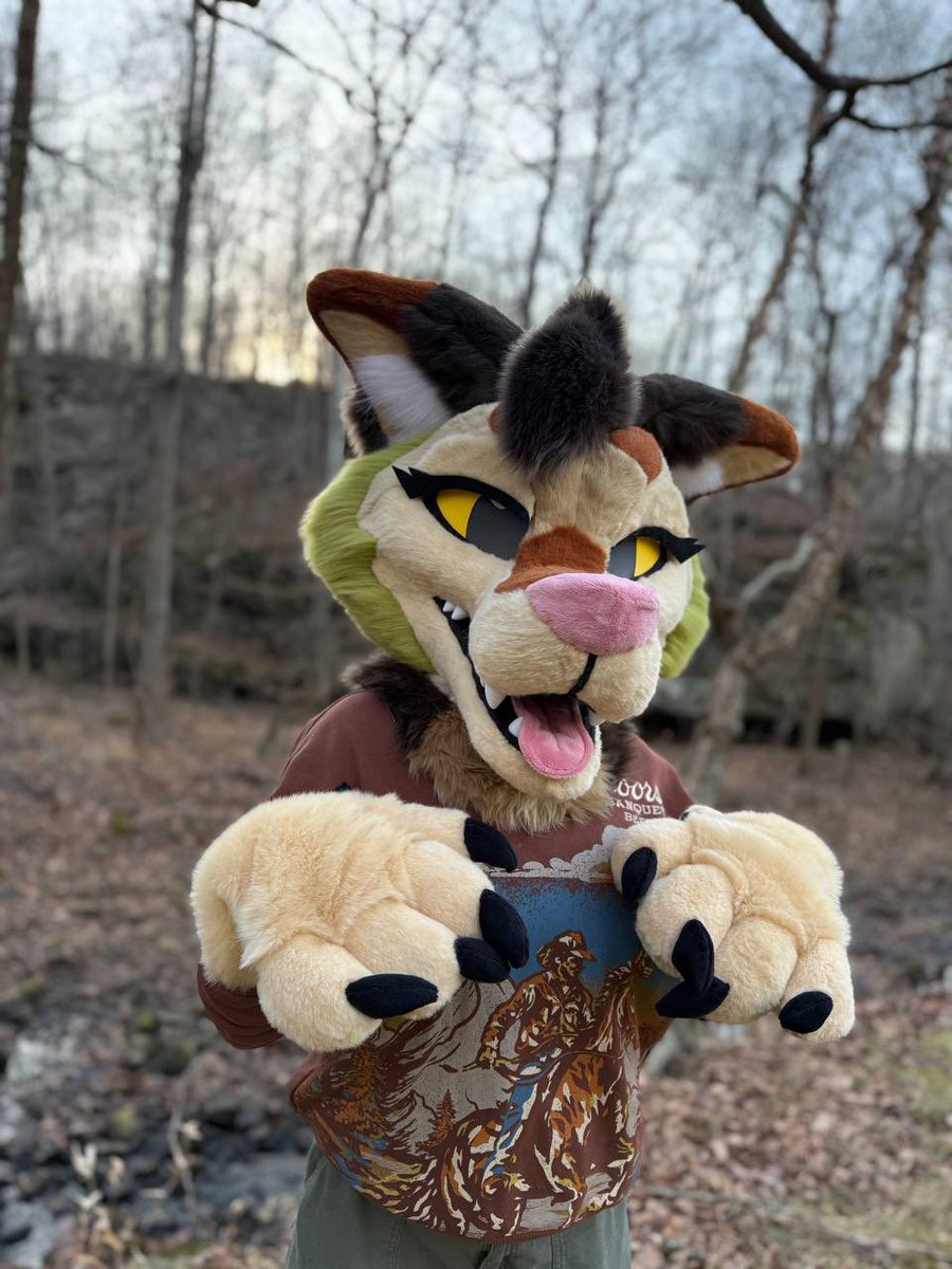 🌵Coyote Arcade🌵 tweet media