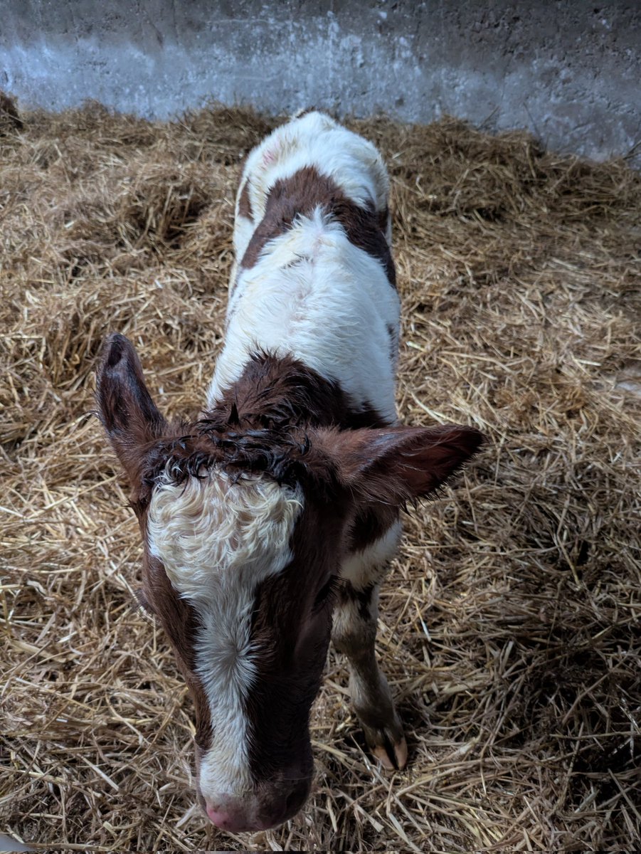 Ashleigh tweet media