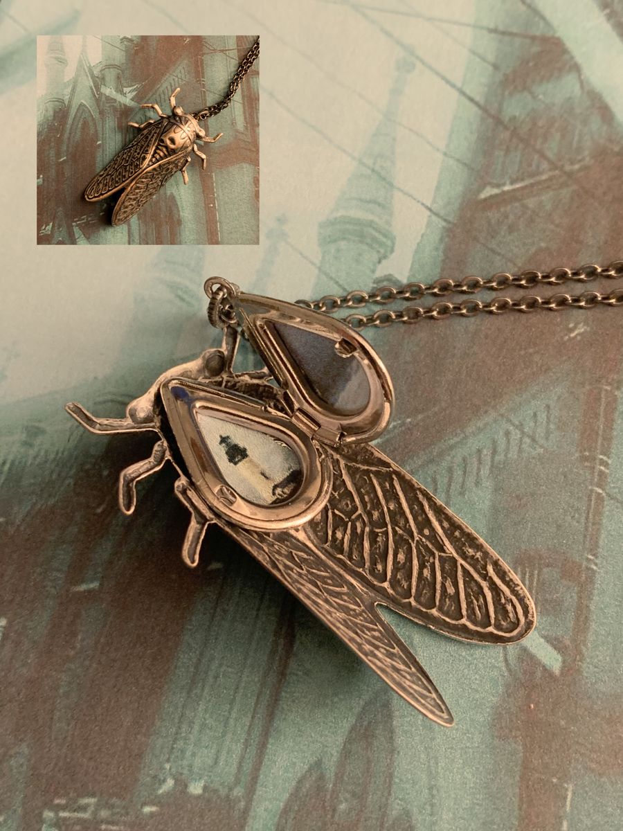 cicada locket