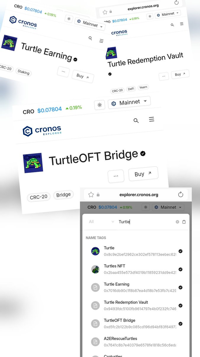 TurtleonCro's tweet image. It's all in the $TURTLE details #crofam   

$wTURTLE

#CronosExplorer #CronosChain
