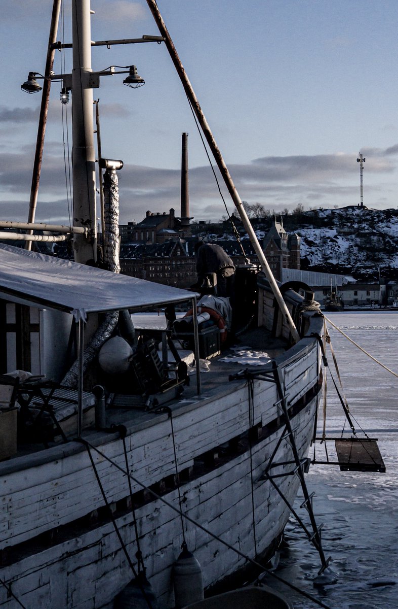 marcus M tweet media