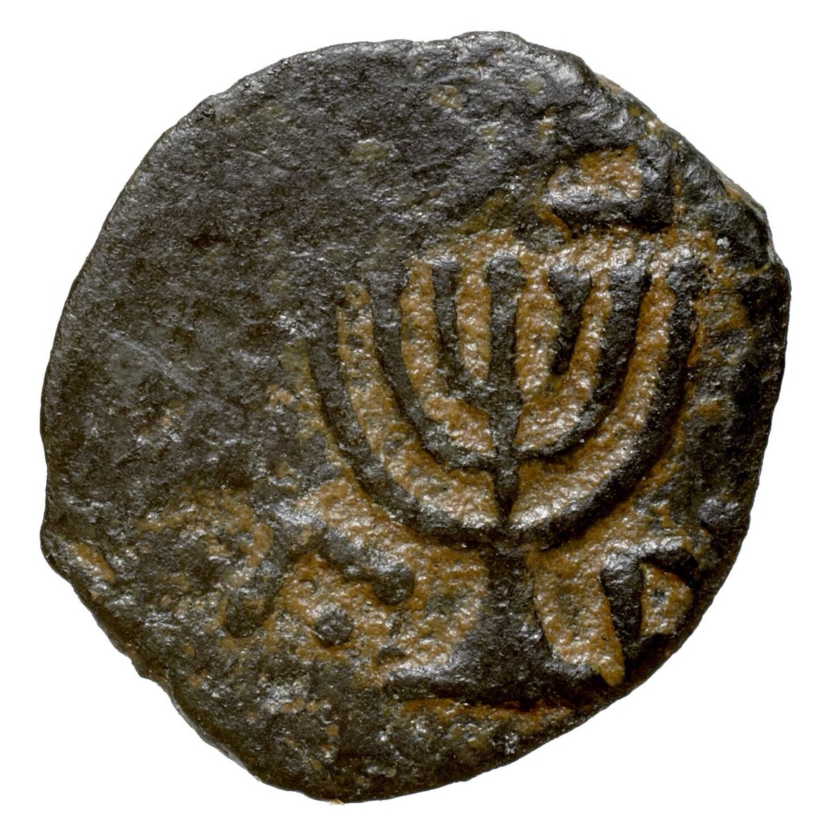 Today is the third of Adar, the day construction of the Second Temple in Jerusalem was completed according to Ezra 6:15. And this week’s Torah reading includes the instruction to construct a golden, seven-branched menorah to be set up in the tabernacle. My post today honors both