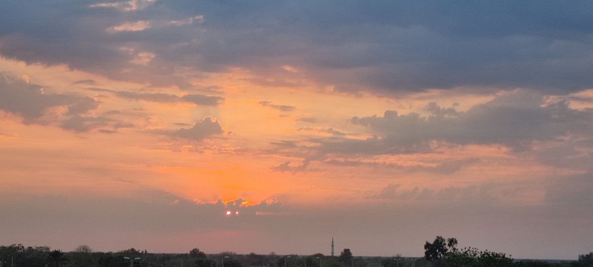 Silva Alkebeh tweet media