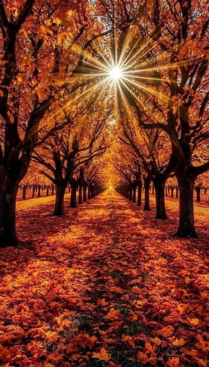 dany_grazia's tweet photo. Wonderful https://t.co/G6tXX4m9th
