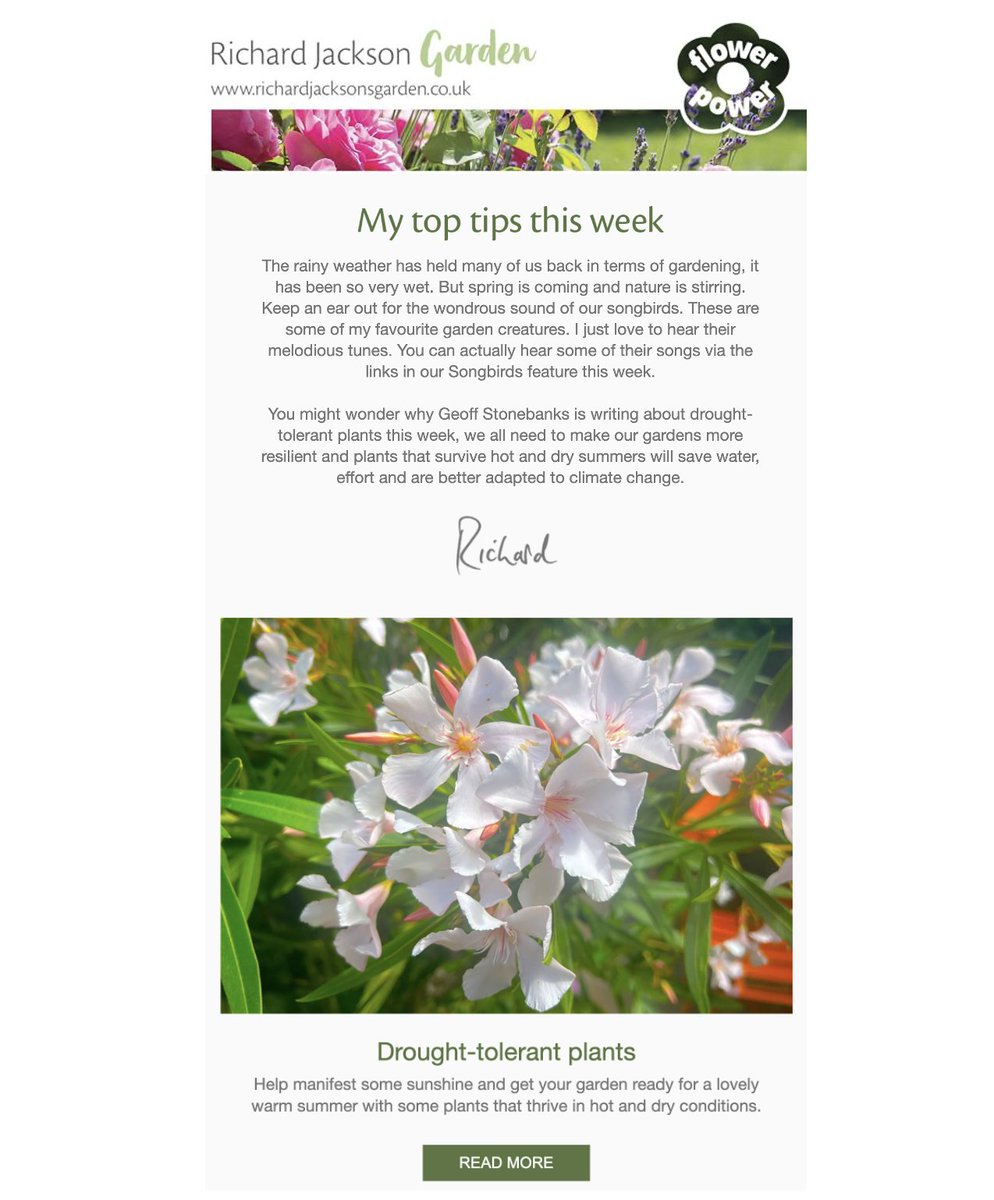 driftwoodbysea's tweet photo. My feature on drought tolerant planting is one of @RJGarden 's top tips in his weekly newsletter today! https://t.co/EmepTeQjRe #sussex #gardening https://t.co/58jF7xbzab
