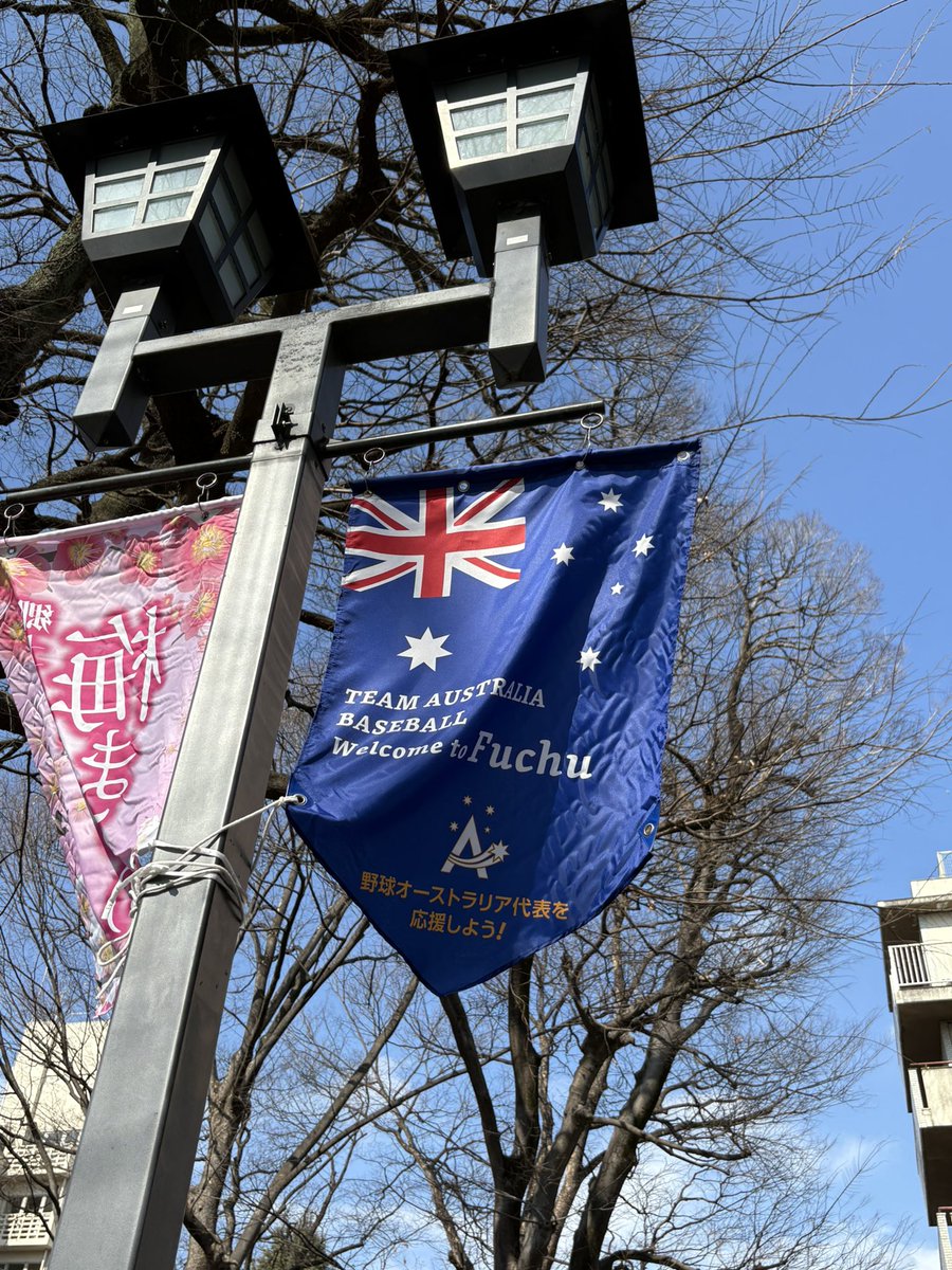 スポーツタウン府中／SPORTS TOWN FUCHU【公式】 tweet media