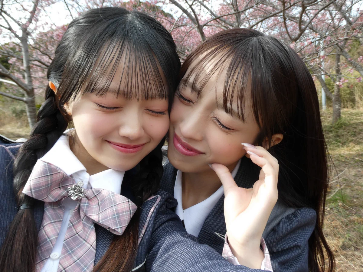 花田藍衣 on X: 