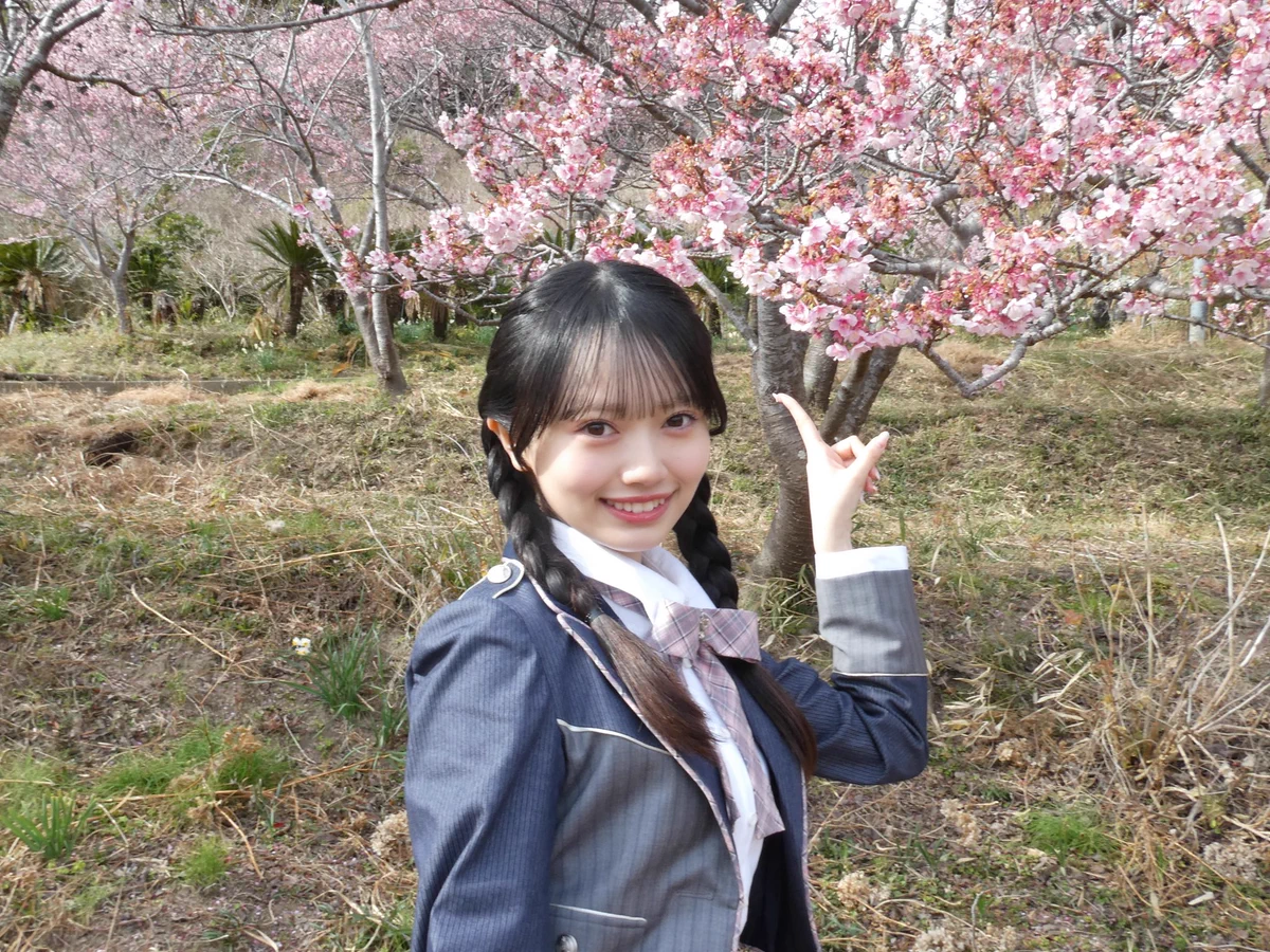 花田藍衣 on X: 