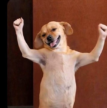 hii chai ya kina mkenya na siah iko adi na mdalasini buana😭😅😅