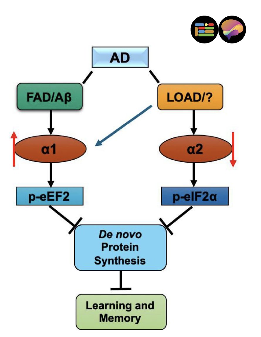 GenomicPress tweet media