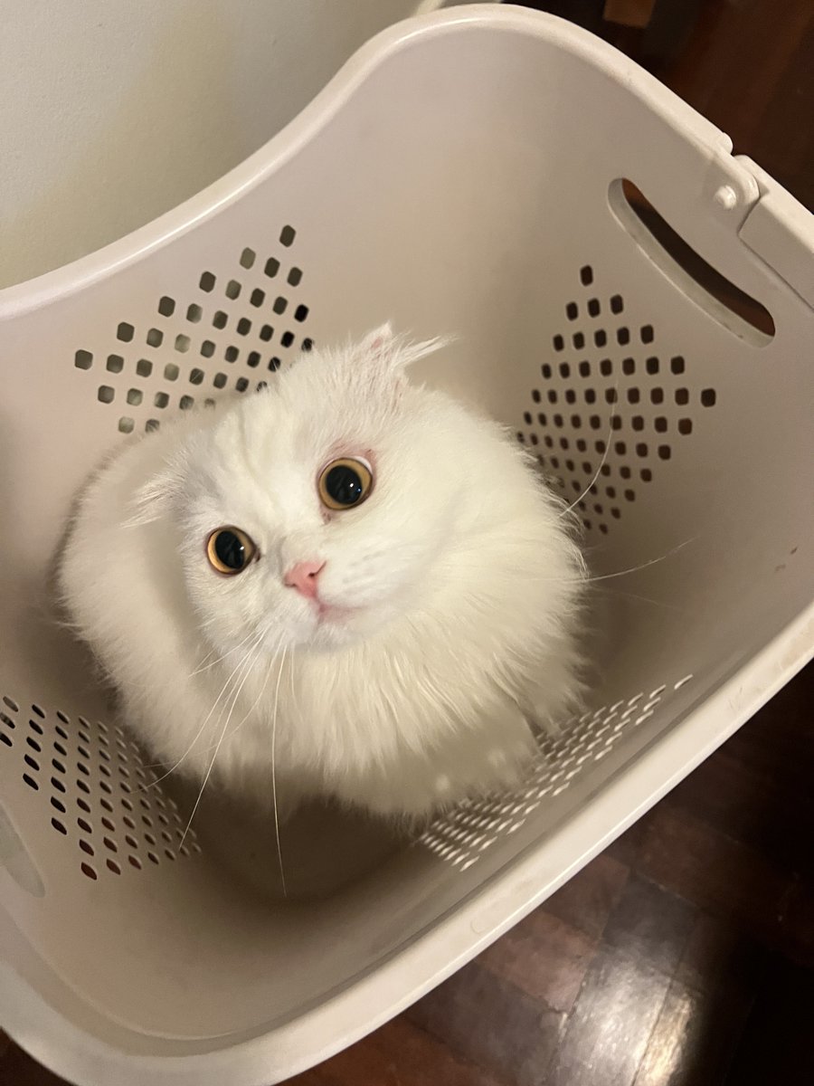 ซักมั้ย