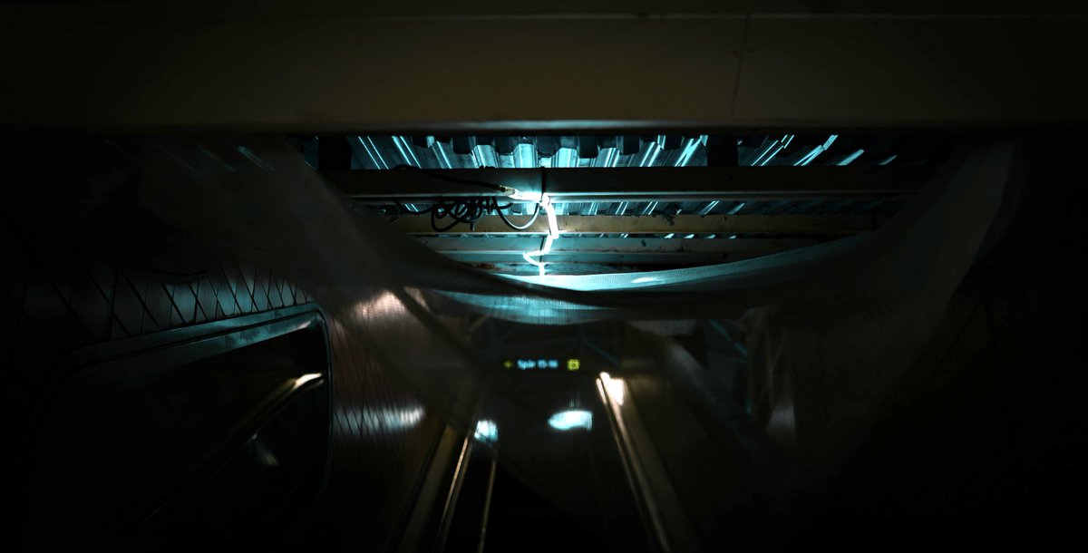 marcus M tweet media