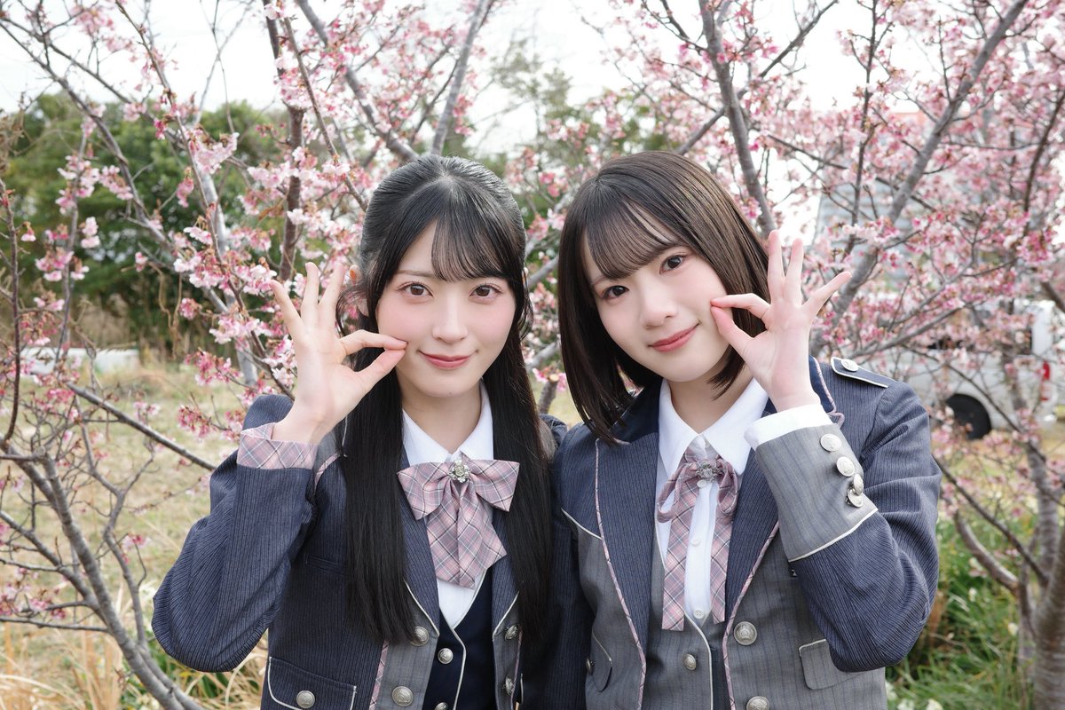 AKB48_名残り桜 MVが公開されました~！🌸 儚くて、きらきらしていてAKB