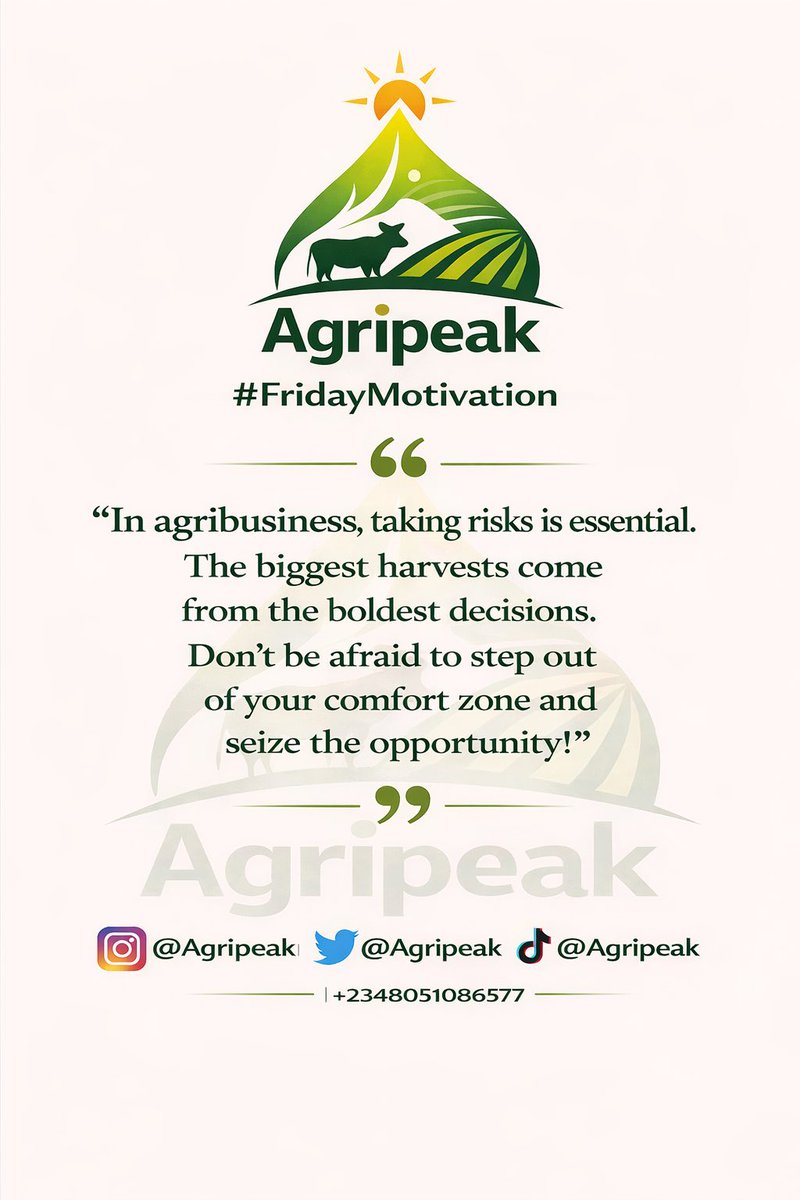 agripeak's tweet photo. FRIDAY MOTIVATION 

Yes !!!!! 

BOLD STEPS GIVES RESULTS !!!!

Reach out to Agripeak ( the Agricultural 911 today ) to take that Agribusiness bold steps … 

We can save your business 
We can actualize your dreams 💪🏼

#simi
#victorosimhen 
#osimhen https://t.co/y8NBb9KLiD