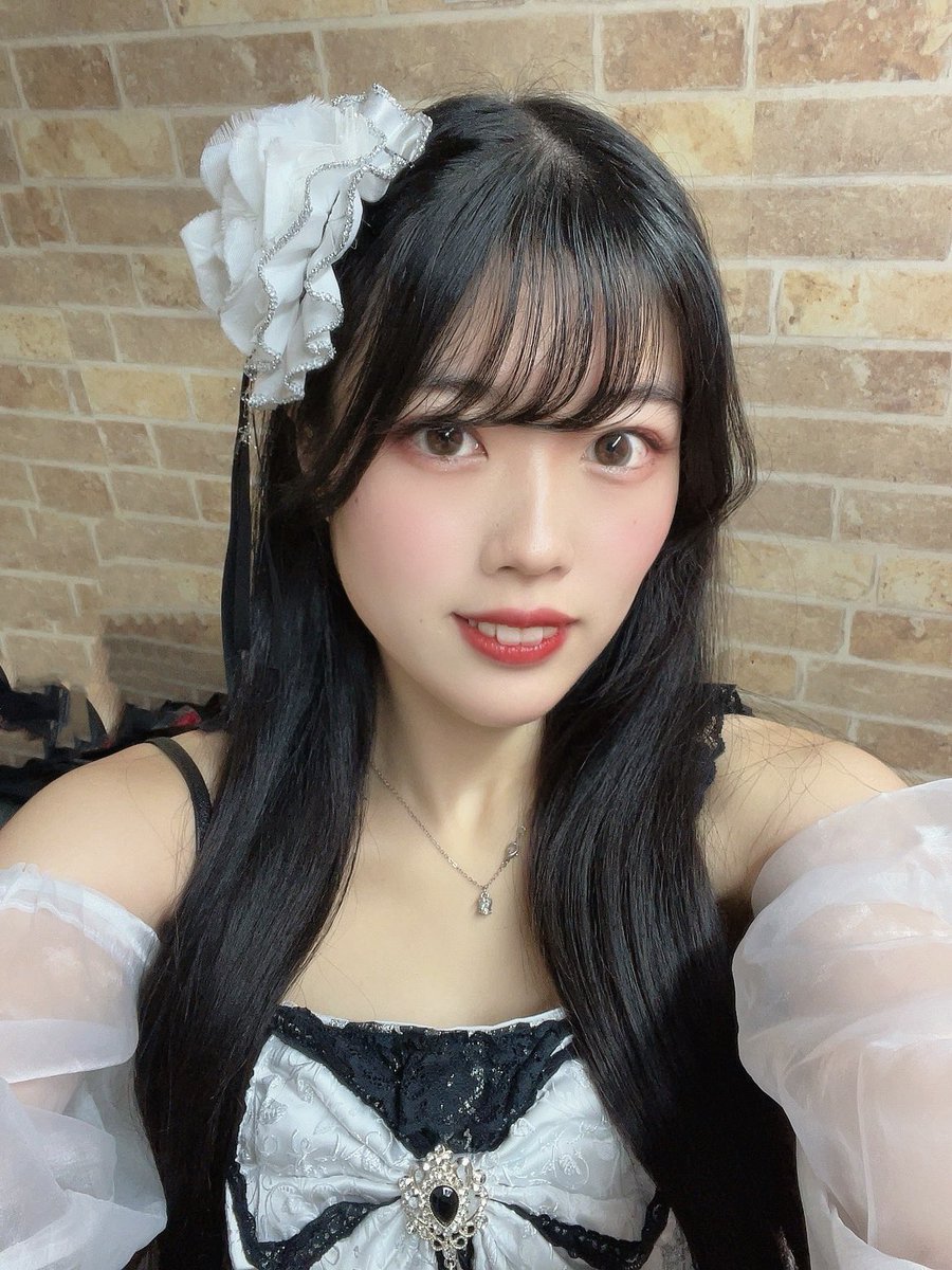 月姫めい🌙.*·̩͙🐇♥️ゼノシン (@mei_xenosym) / Posts / X