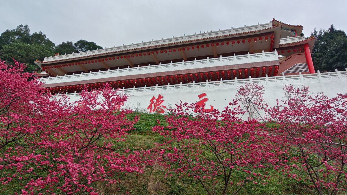 domo0244's tweet photo. 20260219 桃園元德寶宮..莒光公園..壽山巖觀音寺..中央大學...關西美好民宿 https://t.co/BWlkWWNYjM