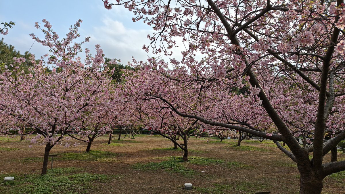 domo0244's tweet photo. 20260219 桃園元德寶宮..莒光公園..壽山巖觀音寺..中央大學...關西美好民宿 https://t.co/BWlkWWNYjM