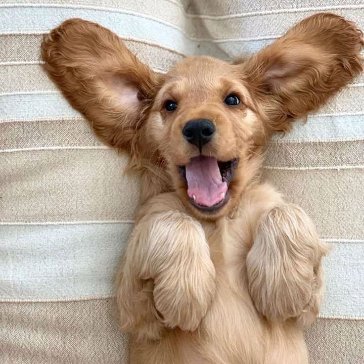 Good morning! Happy Friday! Windy🌬 with snow❄️, high of 42. Falling temps all day. 🙄 I hope today that you laugh a bit harder, smile a bit brighter, feel a bit lighter and have a truly beautiful day. Get your coffee and let's get this day started.❄️🙏🏻🕊☕️💙