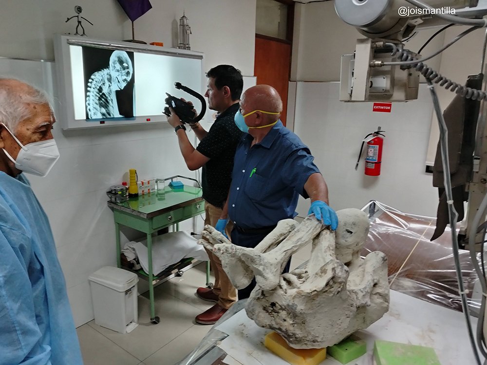 Gonzalo Chavez tweet media