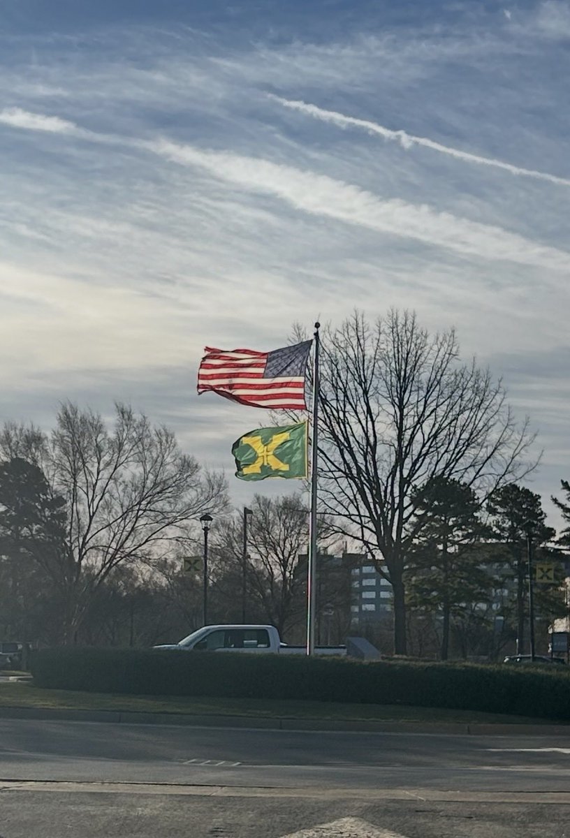 CoachLandis22's tweet image. It’s a great day to be a Tiger. 
#Merica 🇺🇸 
#GoTigers 🐯