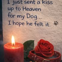 jasmine (@321_jasmine) on Twitter photo 