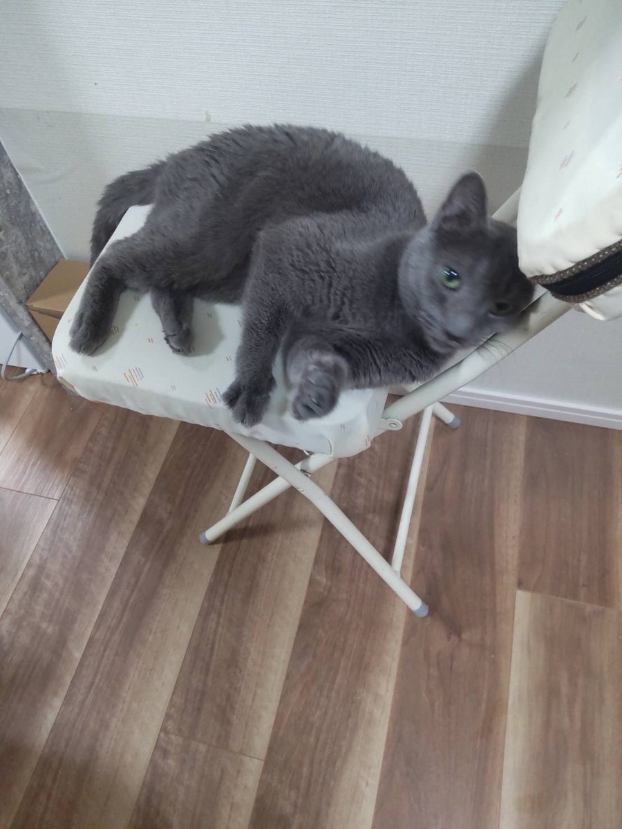 天月-あまつき- (@_amatsuki_) / Posts / X