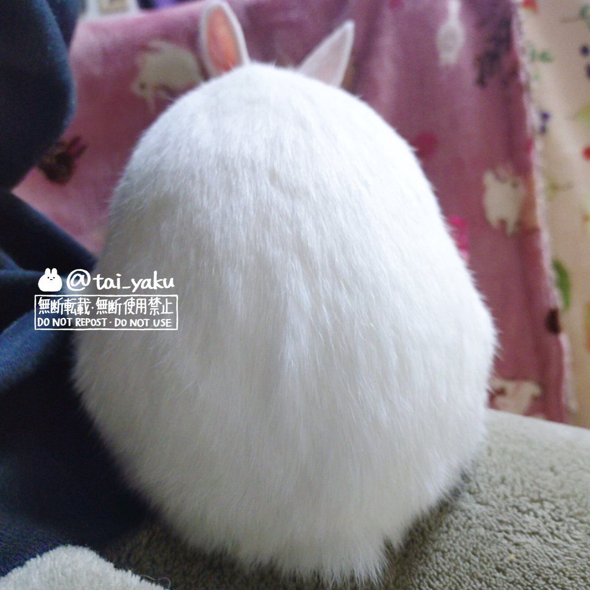 お毛玉様🐇 (@tai_yaku) / Posts / X